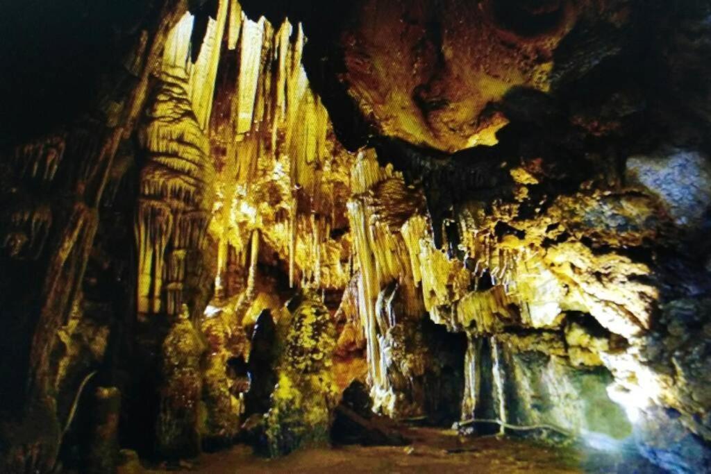 New! La Ginestra,Casa Vacanze Bifamiliare In Montagna-Seulo Sardegna Eksteriør bilde