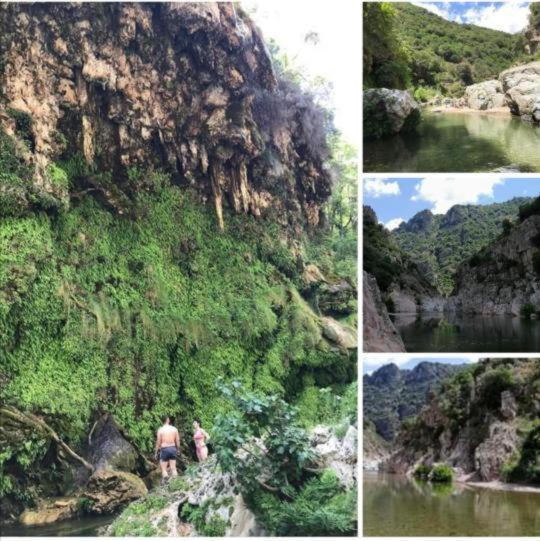 New! La Ginestra,Casa Vacanze Bifamiliare In Montagna-Seulo Sardegna Eksteriør bilde