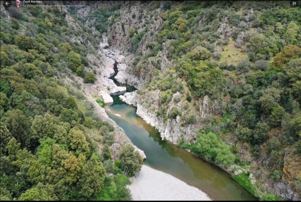 New! La Ginestra,Casa Vacanze Bifamiliare In Montagna-Seulo Sardegna Eksteriør bilde