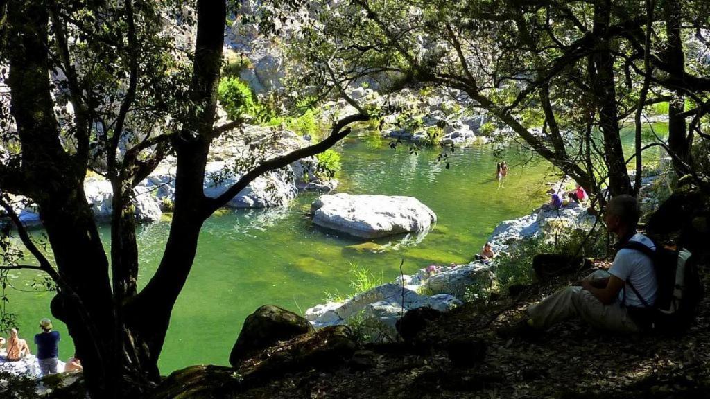 New! La Ginestra,Casa Vacanze Bifamiliare In Montagna-Seulo Sardegna Eksteriør bilde