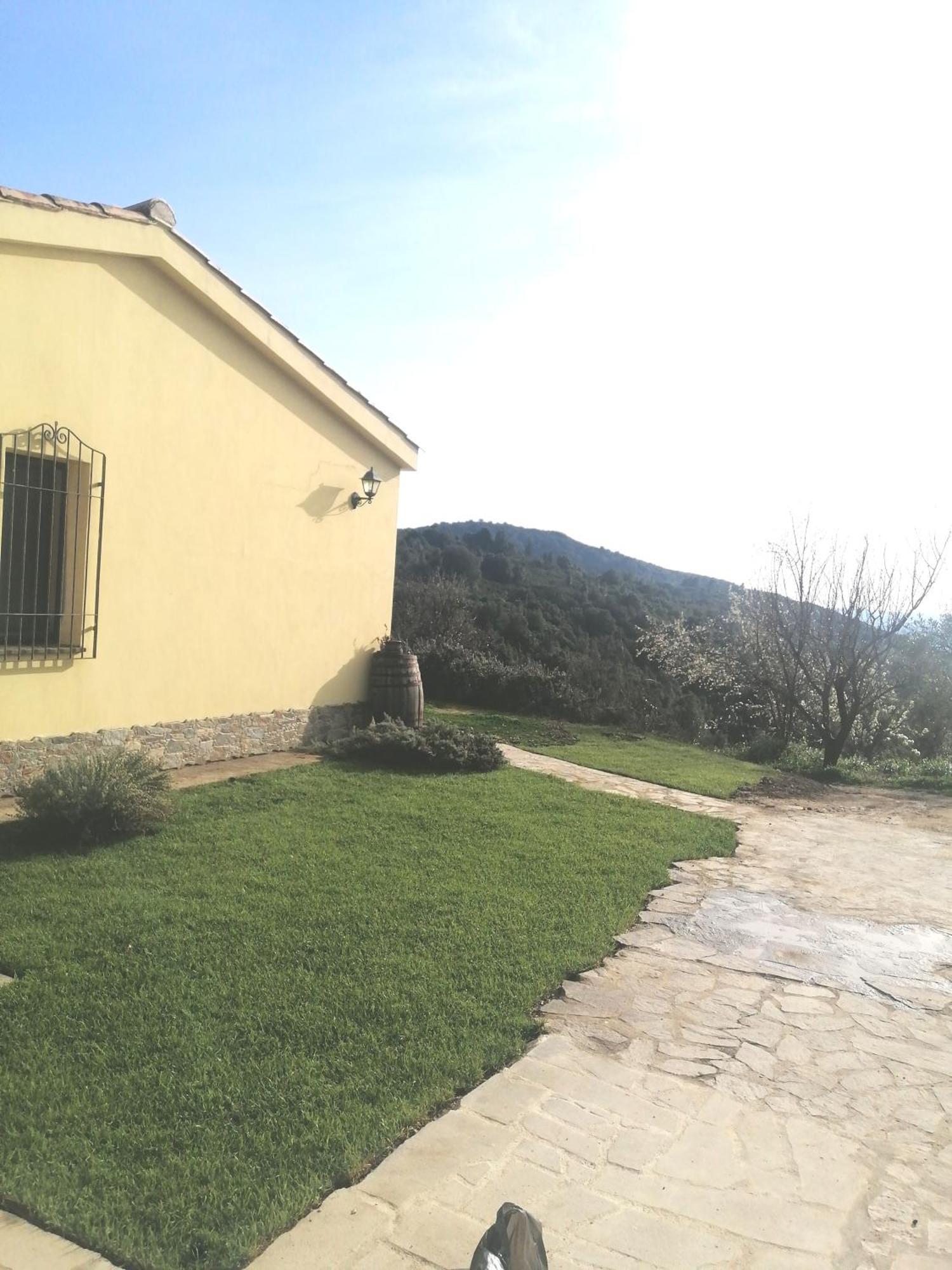 New! La Ginestra,Casa Vacanze Bifamiliare In Montagna-Seulo Sardegna Eksteriør bilde