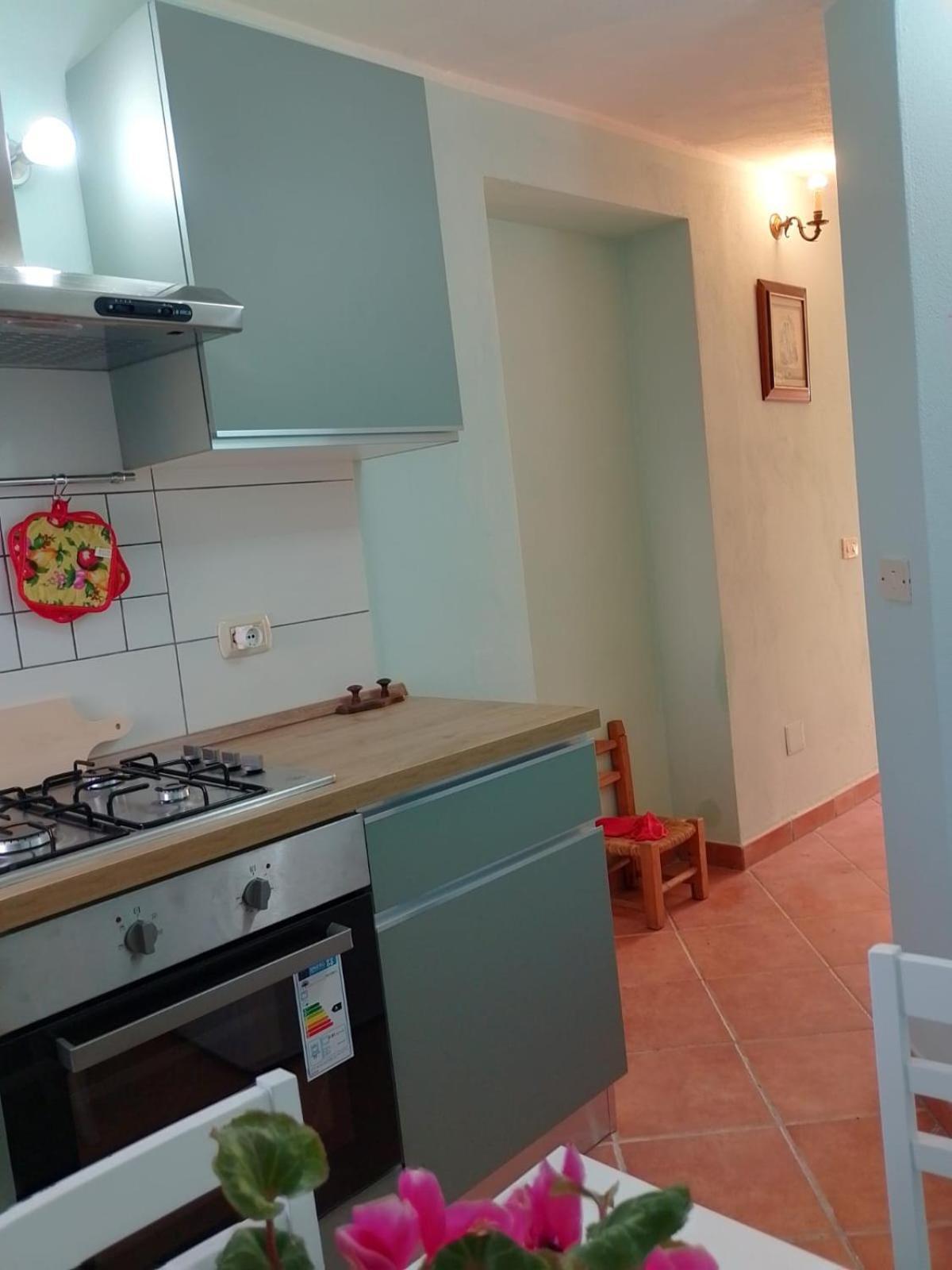 New! La Ginestra,Casa Vacanze Bifamiliare In Montagna-Seulo Sardegna Eksteriør bilde